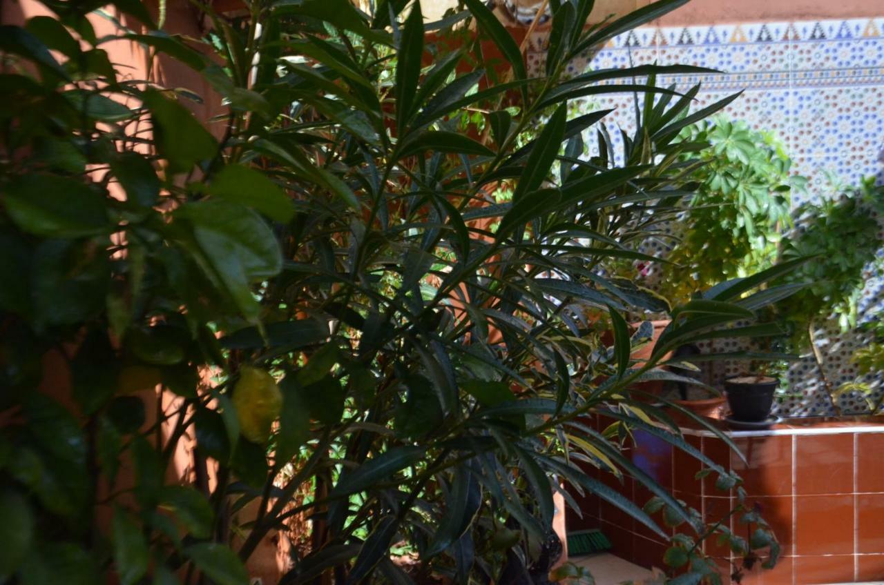 Ryad Ayad Marrakesh Extérieur photo